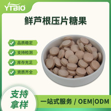 鲜芦根提取物 压片糖果 水溶鲜芦根粉 固体饮料 代加工 支持打样