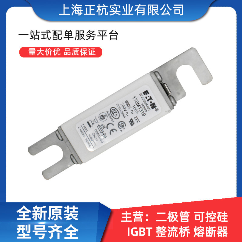 170M1319  170M1414智能跌落式低压快速熔断器 全新原装 量大从优