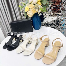 ߶Ʒ|2025ļСLƤһ֎¶ֺ͸ָrК|߸Ь