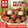 东北代发原味开口榛子仁
