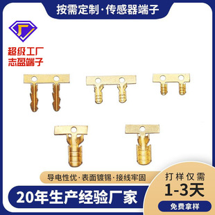 ���S�����S�~��懂��������ӹڻ�б������Դ�t������늹��Ӿ�����