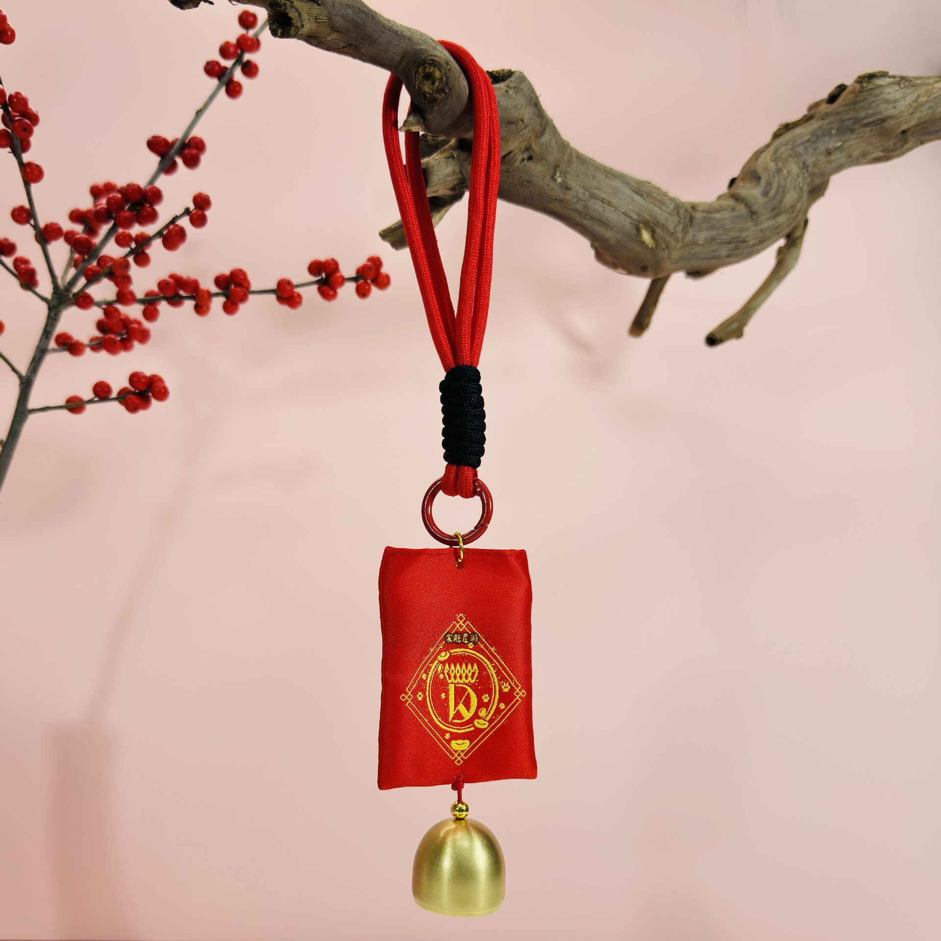 IMG_5398(20241213-170501)