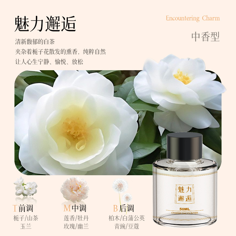 에센셜 오일 50ml [참 만남]]