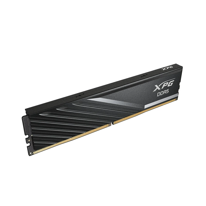 RAM, D300, D300, 300G, G16, 16G, G32, 32G, G60006400, (Physicals)