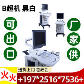 医疗设备彩超 彩超机器 全数字B超B超机兽用医用生产厂家 出口