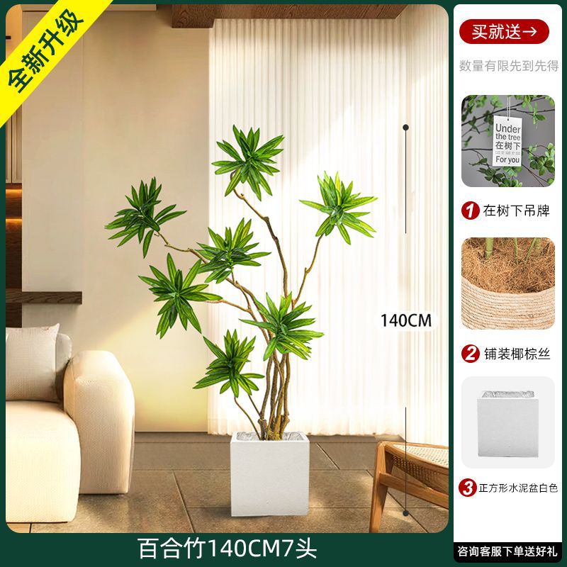[W Ruyi Bamboo] Chậu vuông đầu 140CM7