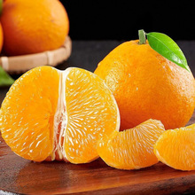 2025正宗爱媛38号果冻橙汁多肉厚手剥橙当季鲜果整箱批发柑橘水果