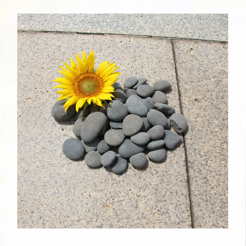 ��5-8cm��Ȼ��ɫ����ʯ԰���쾰ר��ˮ��ɢ��װ��ʯ�̻�������ѡ