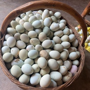 ���]�G�����u�����u�����r�l؛�������l���r���r���u �u��