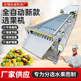 果蔬加工设备;纸成型机械;畜牧养殖机械