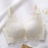 Champagne color