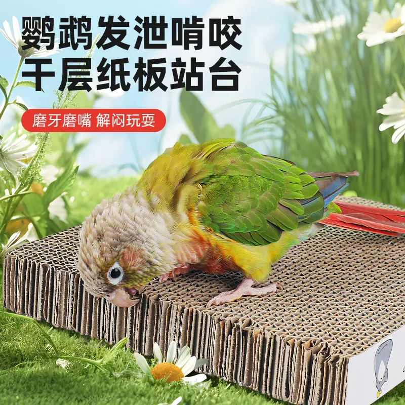 啃咬鹦鹉发泄玩具加厚磨牙磨嘴解闷纸板站台饼窝垫材鸟类宠物用品