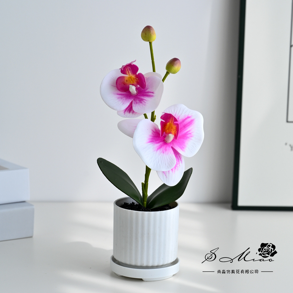 Dos flores, dos frutas, orquídeas mariposas pequeñas plantas de bonsai creativas, decoración del hogar de moda, fotografía de flores artificiales, decoración de flores de boda
