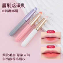 �羳����w��ˢ�����y��๦�����ˢ�̱�������Ⱦ�A�^�ڼtˢ