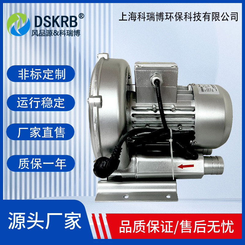 2RG 410系列 小功率高压鼓风机工业漩涡风机鱼塘增氧曝气鼓泡漩涡