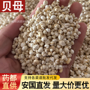 �����ؼ�Ұ���Ĵ������ݟo��ؐĸ��ș����ؐĸ��ؐĸƽؐĸ�|��