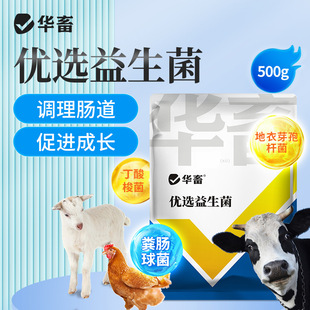 �A���x�������F���{���cθ�iţ�����߷ʴ��L�������{���c��