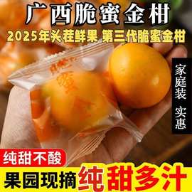 广西融安正宗第三代脆蜜金柑金桔纯甜无酸无籽新鲜摘送礼脆蜜水果
