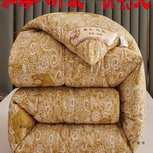 �Ӻ��ë����ů�����������Ӵ��ﱻо���{�����p�ˌW�����ᱻ