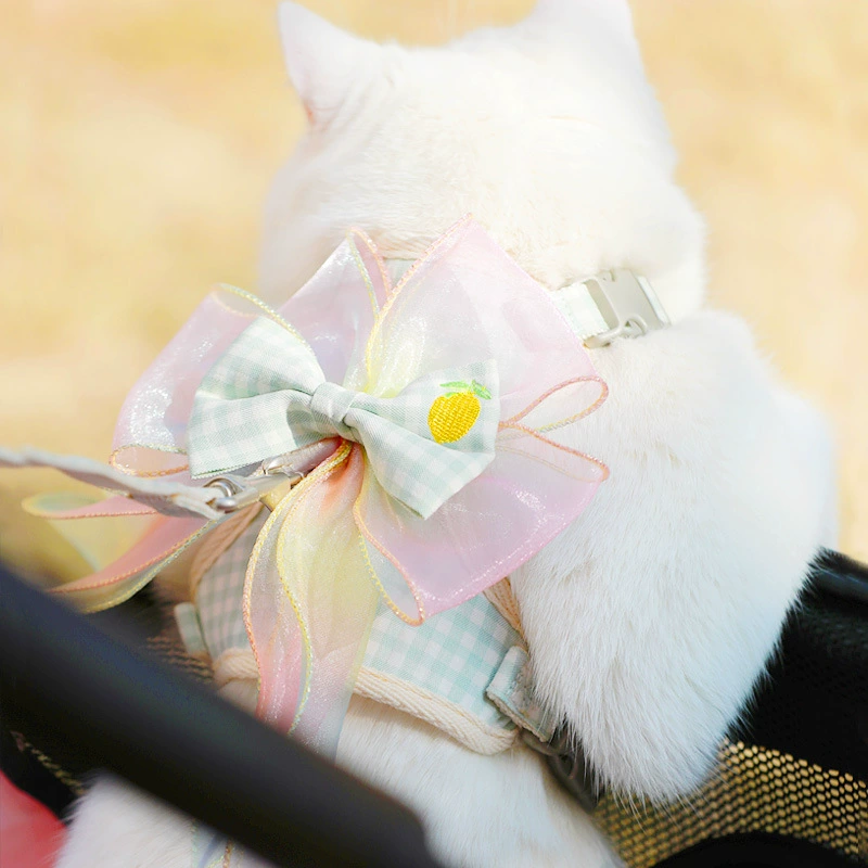  Pet traction Cat Cat Betta Back Set Dog Fighting Breaks from Small Dogs Out Cats Walking Dog Kitty Products