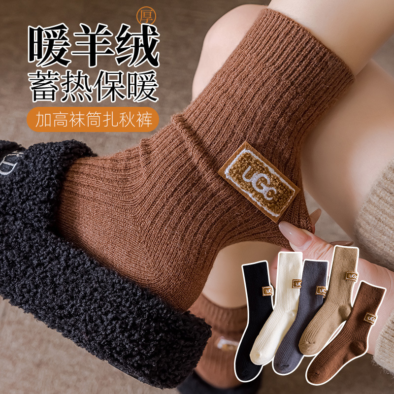 Autumn and Winter Socks Warm Velvet Self-Heating Thickeneded Pile Socks Maillard Color Embroidered Letters Ug Cashmere Mid-Calf Socks Wholesale