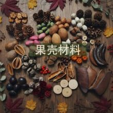手工diy材料松果干花果实豆荚娃娃材料标本相框材料套装幼儿手工