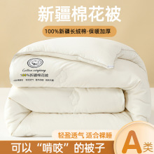 ���Ʊ����½��޻���aӺ񶬱����L�q���ޱ�о������ñ�о���l