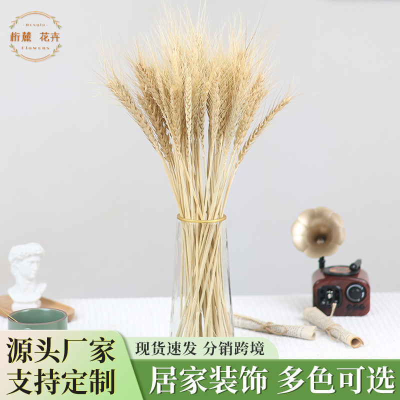 Wheat stalks, rice stalks, wheat, barley stalks, dried flowers, plant decorations, flower bouquets, wholesale, opening decorations, floral arrangements, real wheat, natural color Wheat stalks, rice stalks, wheat, barley stalks, dried flowers, plant decorations, flower bouquets, wholesale, opening decorations, floral arrangements, real wheat, natural color