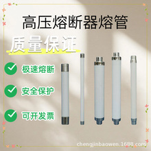 �߉������۔���XRNP1-20KV-24KV/0.5A1A2A������PT�۔ౣ�U��о��