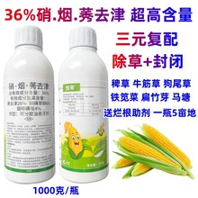 玉米苗后封杀专用除草剂36%硝烟莠去津高含量安全型苞米地杂草药