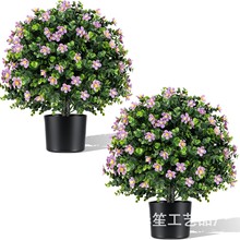 XT�羳�����ϻ�����ֲ��Temu���N��Ҿ��b���̦��С�;Gֲ����