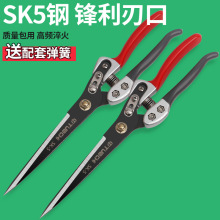 ëļëքӽgdëÏùë̖ë