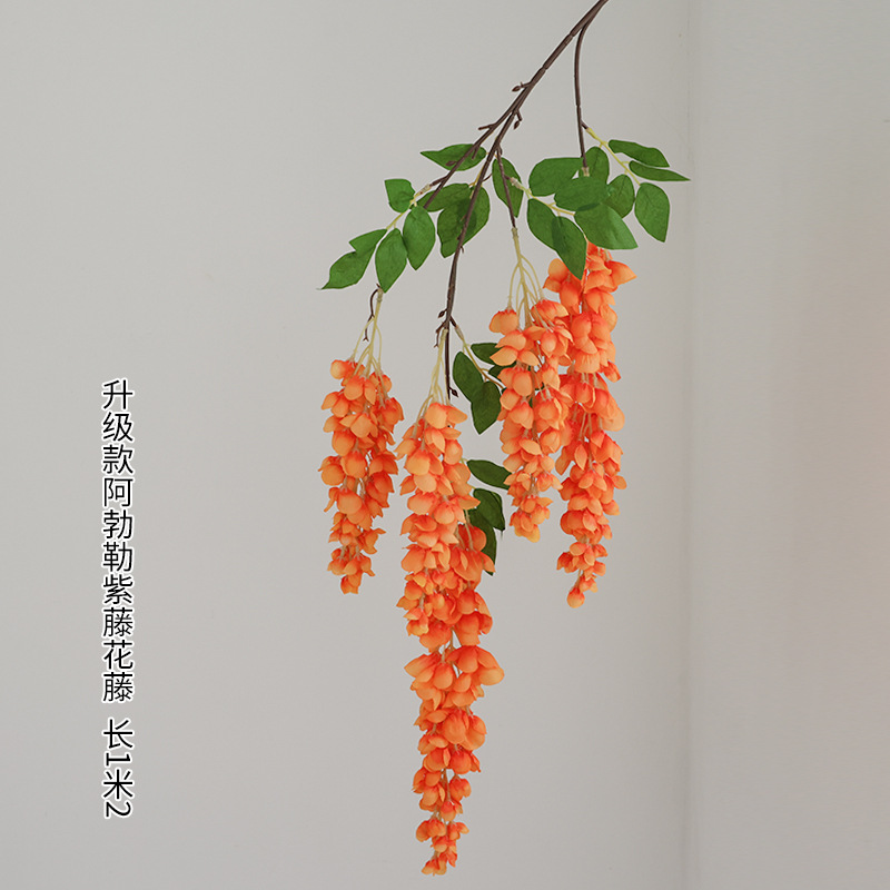 다섯 갈래 아버레 등나무 꽃 오렌지