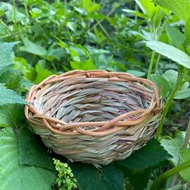 现货跨境货源亚马逊园艺装饰 草编窝手工编织芙蓉草碗状孵化鸟屋