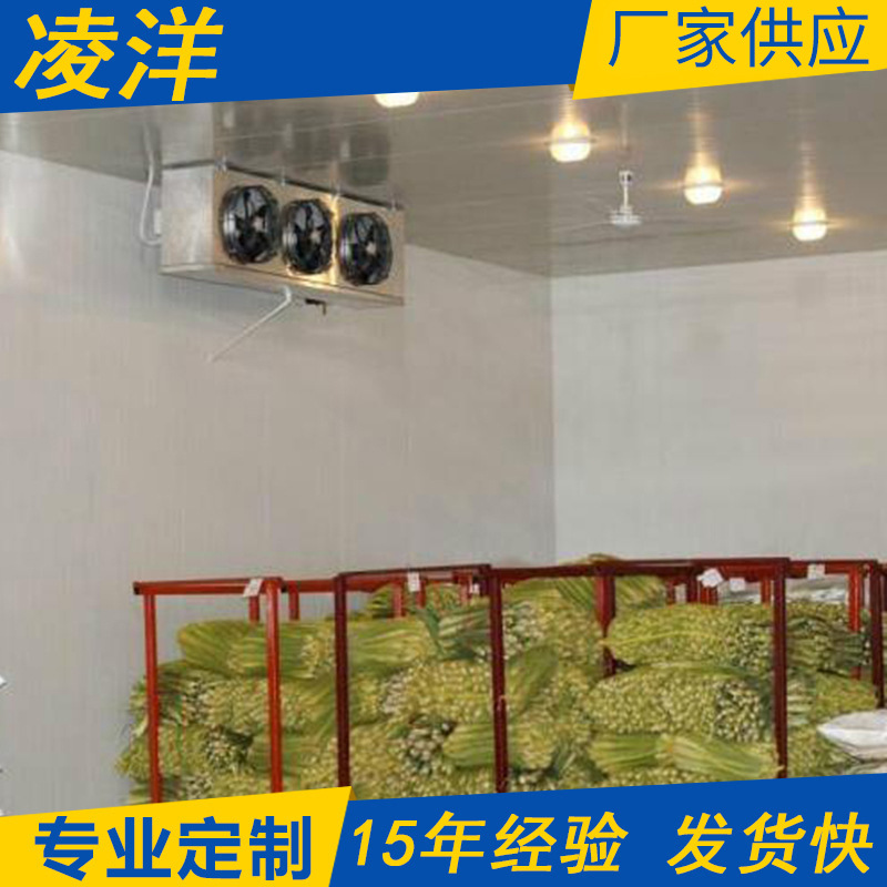 厂家销售蔬菜保鲜冷库 食品饮料保鲜冷藏设备 果蔬保鲜冷藏柜