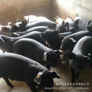 �����K̫ĸ�i���N���ʺ��iɢ�B���B���ʳ��ĸ�i���i�r�񃞻�