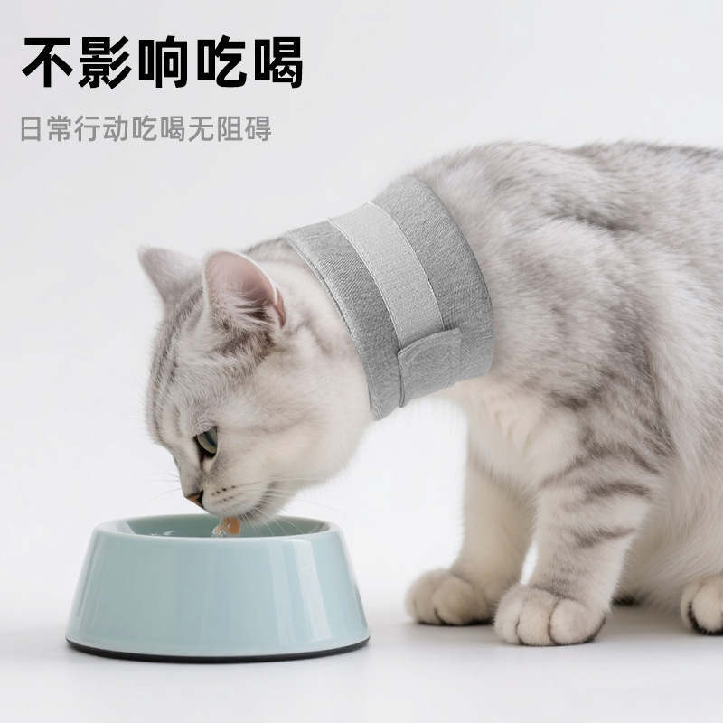 宠物伊丽莎白圈猫狗术后防护罩防舔保护套猫狗美容罩防咬圈项圈|undefined