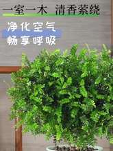 ľò҃ȻܾGֲȩ՚ֲľ