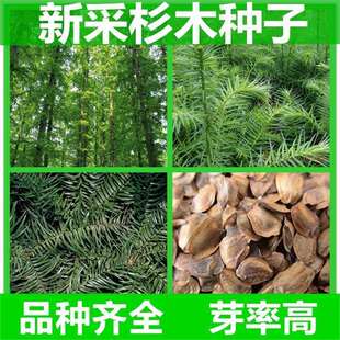 �²�һ��ɼľ�N�� ɼ��N�� ��ɼ ˮɼ ��ɼ����ɼ����ɼľ��N��