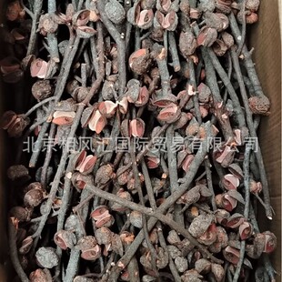 ����ë����ľ���M�ڸɻ������b[�O���յ��߲廨��Ȼֲ��