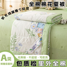 a类里外全棉棉花夏凉被纯棉夏被空调被单双人被子被芯一件代发