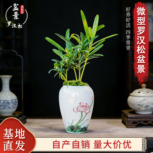 �_�h���辰ָ��΢�����Կ͏d���^����Ȥζ�����՚���B��ֲ����ʽ