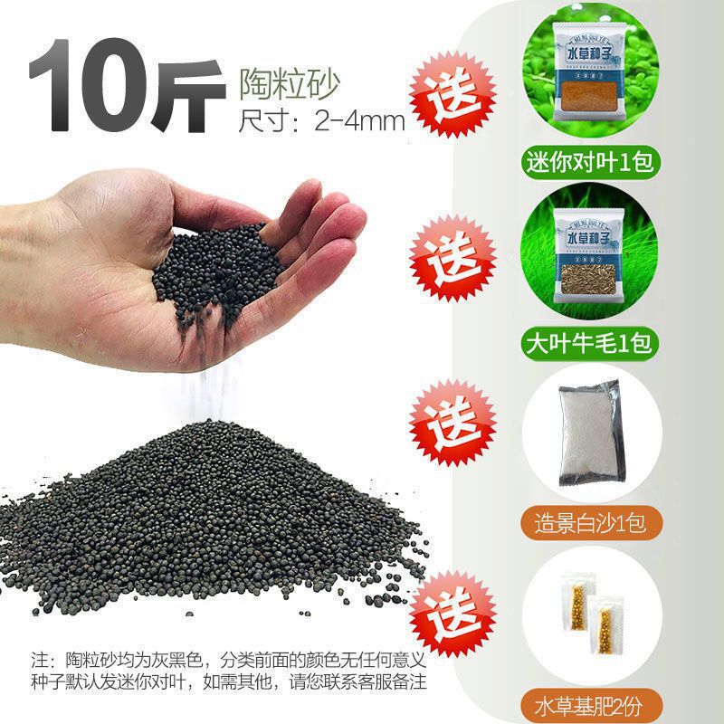 嘘援娉ユ壒鍙戙€愪笉舞枃丸瀀耣ャ€戦櫠绮掔戞枸shoulder a few搴琴爞更曟曟曘昘棌绠 argue