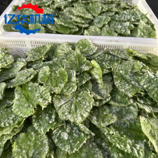 Ģ����ը�C �t��l��ը�ӹ�ȫ���O�� ɣ�~���{��ը���a��