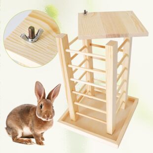 �羳���Ӹɲ�ιʳ��ľ�|����\ʳ�������վ��ʽι�ݼ�����Ͷʳ��