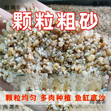 多肉河沙土粗沙颗粒造景铺面种花鱼缸底砂微景观水族种植拌