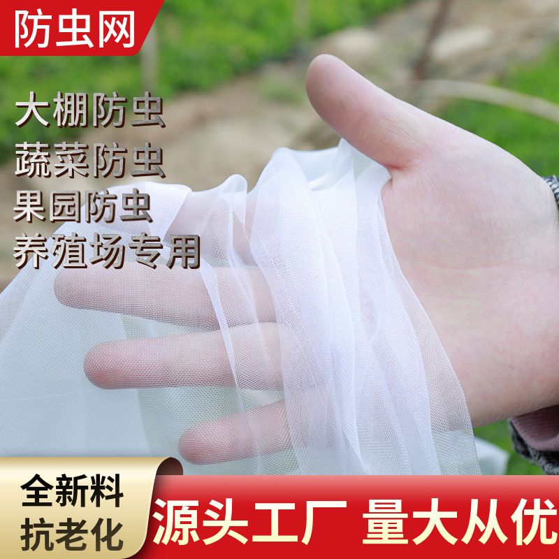 农用蔬菜果树防虫网  聚乙烯果园防鸟网 加厚大棚农用防虫网