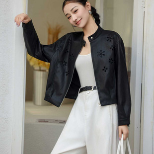 �ع��̽��U���^����ƤƤ��Ů2026��Ʒ�d��Ƥ�̿���OӋȫƤ�A��