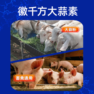 �ӱ��Z������ţ���iˮ�a�u��ǧ���������Tʳ���F���������ӄ���Ʒ