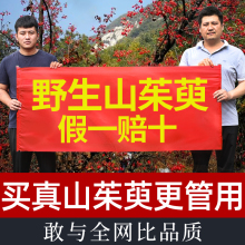 ɽ���ǲ�����Ş��Ұ��ɽ�����w��ˮ�ȵĹ�Ч�c����